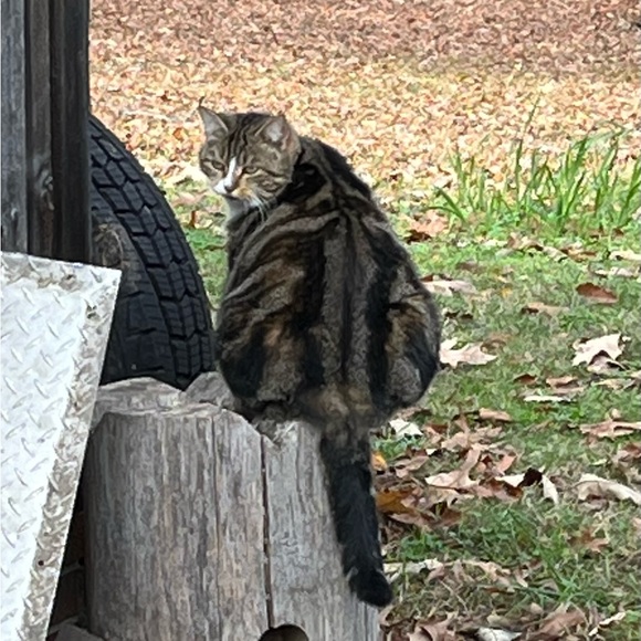 Meet your Posher, Kerry - Picture 12 of 12